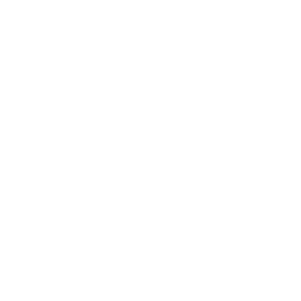 Direct mentorship with Gal